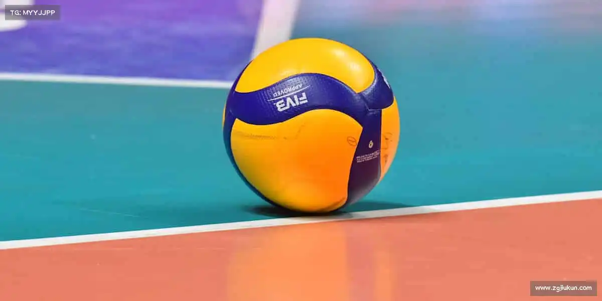 为什么选择我们